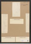 Diatomeae indet. Zeichnungen Sammlung Grunow Nr. 4521 (NHMW-BOT-W0372490)
